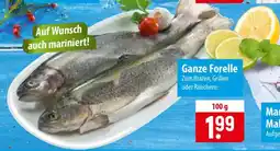 Famila Nord Ost Ganze Forelle Angebot