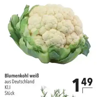 CITTI Markt Blumenkohl weiß Angebot