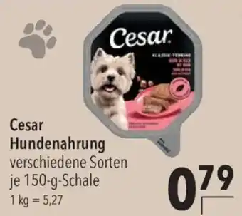 CITTI Markt Cesar Hundenahrung Angebot