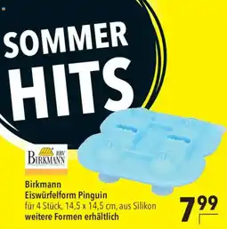 CITTI Markt Birkmann Eiswürfelform Pinguin Angebot