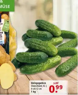 Multi Markt Einlegegurken Angebot