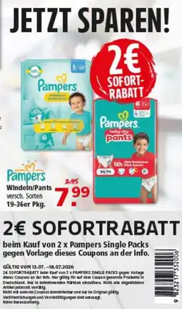 Multi Markt Pampers Windeln/Pants Angebot