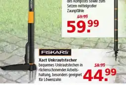 Multi Markt FISKARS Xact Unkrautstecher Angebot