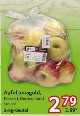 Selgros Apfel Jonagold Angebot