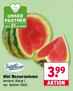 Wasgau Sanfucar Mini Wassermelonen Angebot