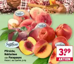 Wasgau Sanlucar Pfirsiche, Nektarinen oder Paraguayos Angebot