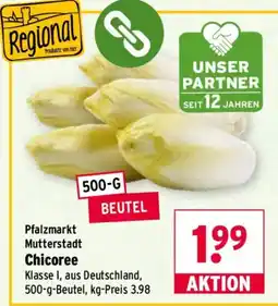 Wasgau Pfalzmarkt Chicoree Angebot