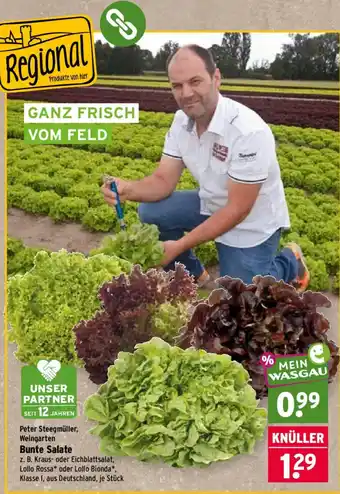 Wasgau Bunte Salate Angebot
