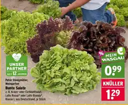 Wasgau Peter Steegmüller, Weingarten Bunte Salate Angebot
