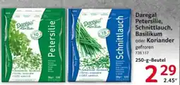 Selgros Daregal Petersilie, Schnittlauch, Basilikum oder Koriander Angebot