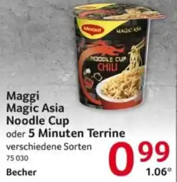 Selgros Maggi Magic Asia Noodle Cup Angebot