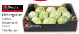 Selgros Quality Eisbergsalat Angebot