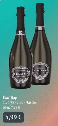 Ellerkamp Getränke Scavi Ray Angebot