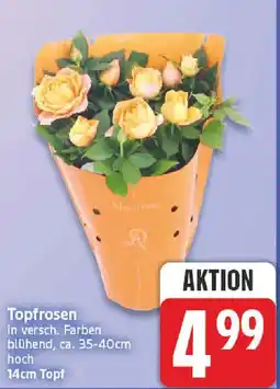nah & gut Topfrosen Angebot