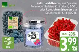 Edeka Kulturheidelbeeren oder Rote Johannisbeeren Angebot