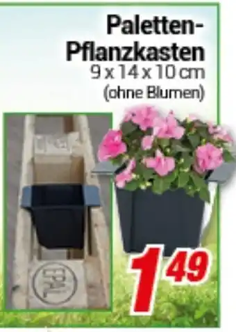 CENTERSHOP Paletten-Pflanzkasten Angebot