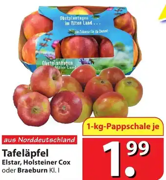 Famila Nord Ost Tafeläpfel 1kg Angebot