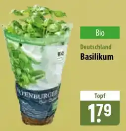 Famila Nord Ost BASILIKUM Angebot