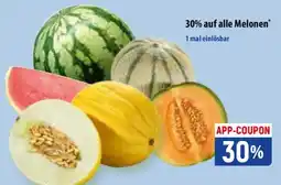 Famila Nord Ost Melonen Angebot