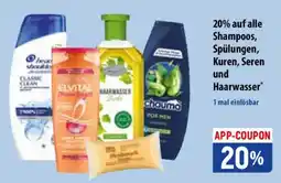 Famila Nord Ost Shampoos, Spülungen, Kuren, Seren und Haarwasser Angebot