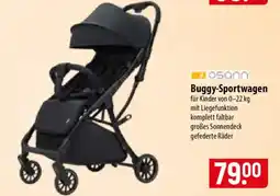 Famila Nord Ost osann Buggy-Sportwagen Angebot