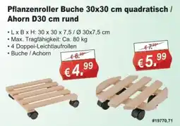 Stabilo Fachmarkt Pflanzenroller Buche 30x30 cm quadratisch / Ahorn D30 cm rund Angebot