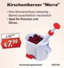 Stabilo Fachmarkt Kirschentkerner "Werra" Angebot