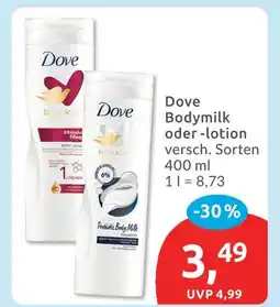 Budni Dove bodymilk oder -lotion Angebot