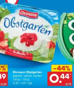 Netto Marken-Discount Ehrmann Obstgarten Angebot