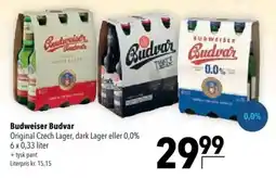 CITTI Markt Budweiser Budvar Angebot
