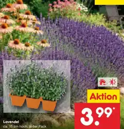 Netto Marken-Discount Lavendel Angebot