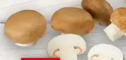 Handelshof Champignons Angebot