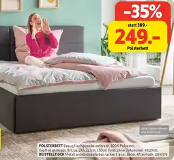 SCONTO Polsterbett Angebot