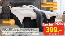SCONTO Boxspringbett Angebot