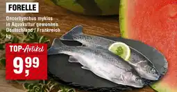 Handelshof Forelle Angebot