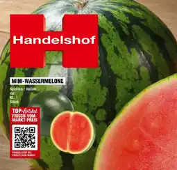 Handelshof Mini wassermelone Angebot