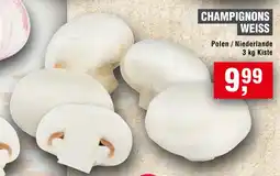 Handelshof Champignons Weiss Angebot