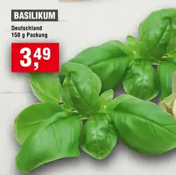 Handelshof Basilikum Angebot