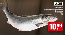 Handelshof LACHS Angebot
