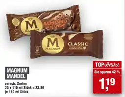 Handelshof MAGNUM MANDEL Angebot