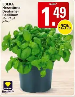 WEZ EDEKA Herzstücke Deutscher Basilikum Angebot