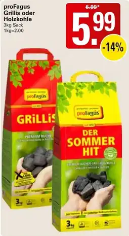 WEZ proFagus Grillis oder Holzkohle Angebot