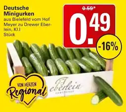 WEZ Deutsche Minigurken Angebot