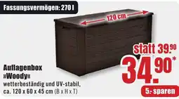 B1 Discount Baumarkt Auflagenbox »Woody« Angebot