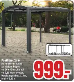 B1 Discount Baumarkt Pavillon »Zora« Angebot