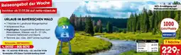 Netto Marken-Discount Urlaub im bayerischen wald 7 Nächte Angebot