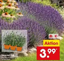 Netto Marken-Discount Lavendel Angebot