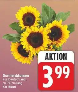 E-Center Sonnenblumen Angebot