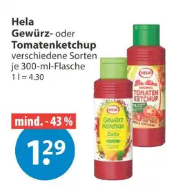 V Markt Hela gewürzketchup Angebot