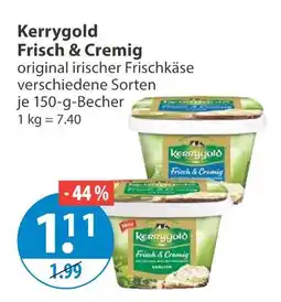 V Markt Kerrygold frisch & cremig Angebot
